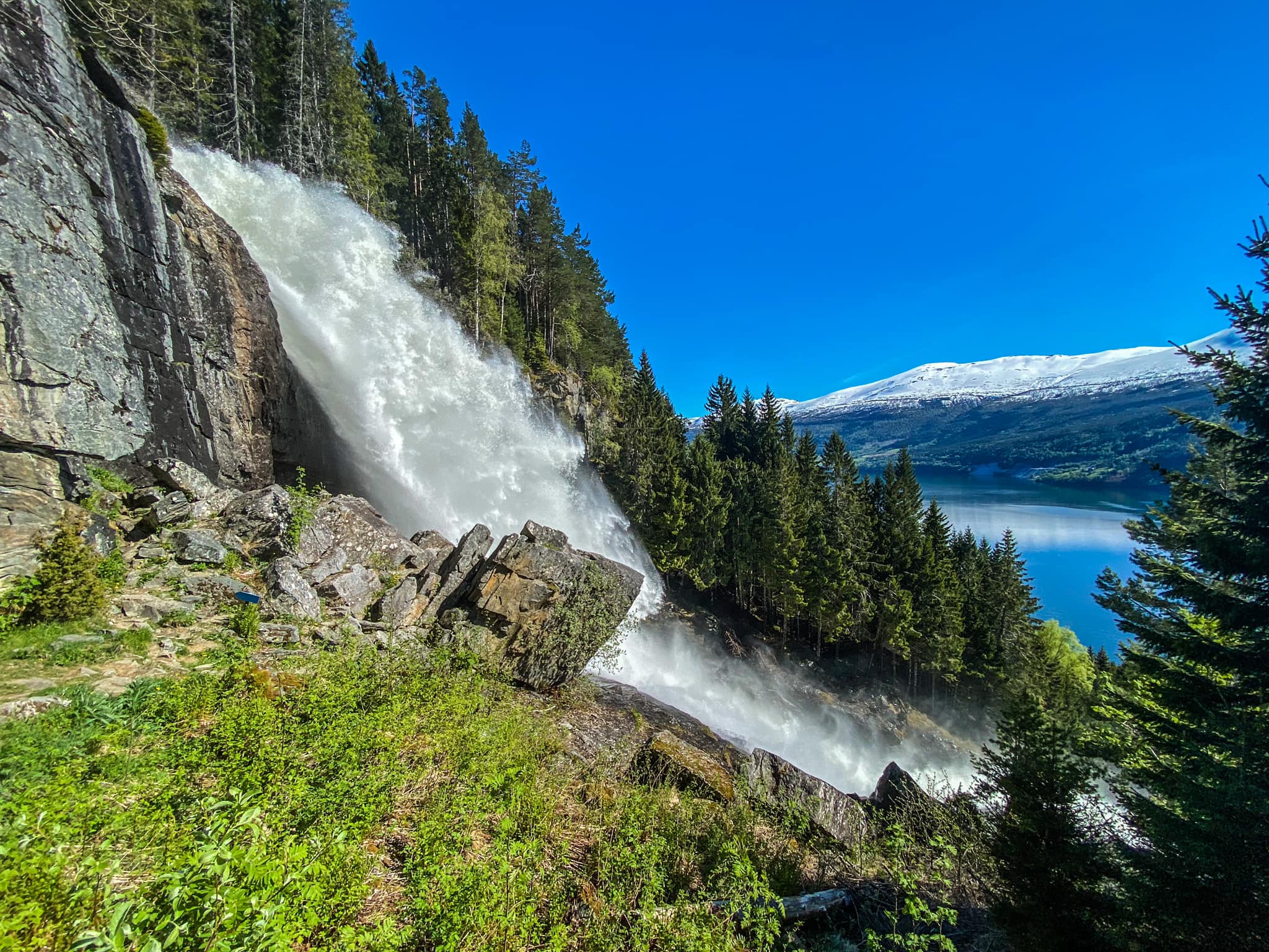 Excursión para cruceros: Cascada de Tvinnefossen