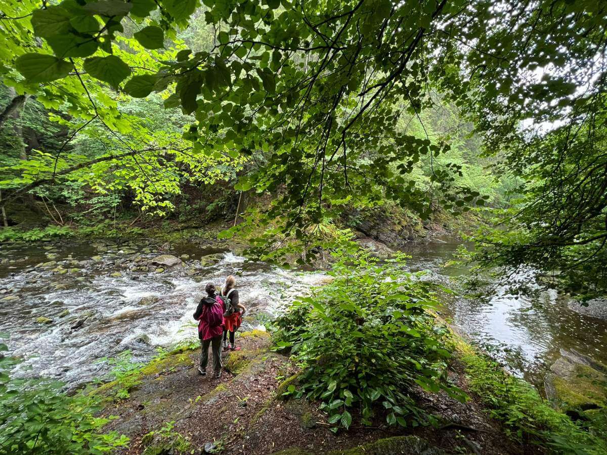 Caminata hasta el río Lysaker