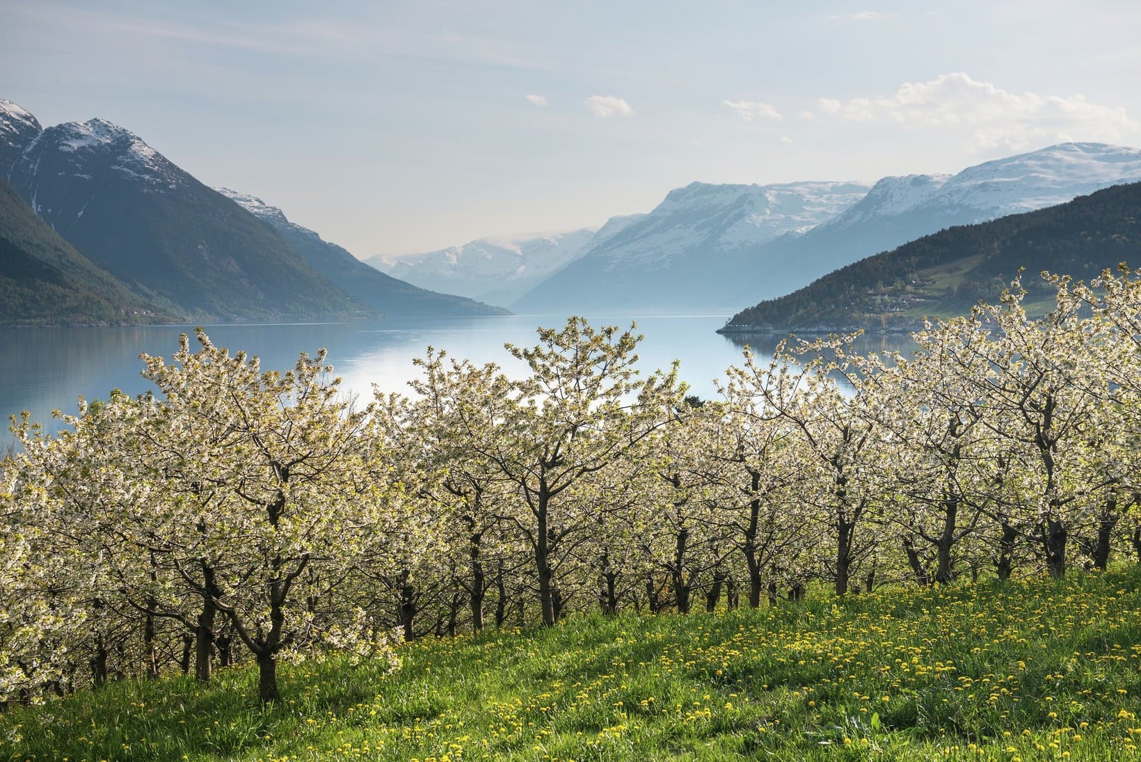 Fiordos Noruegos - Hardangerfjord