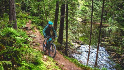 Excursión en bicicleta eléctrica por pistas forestales