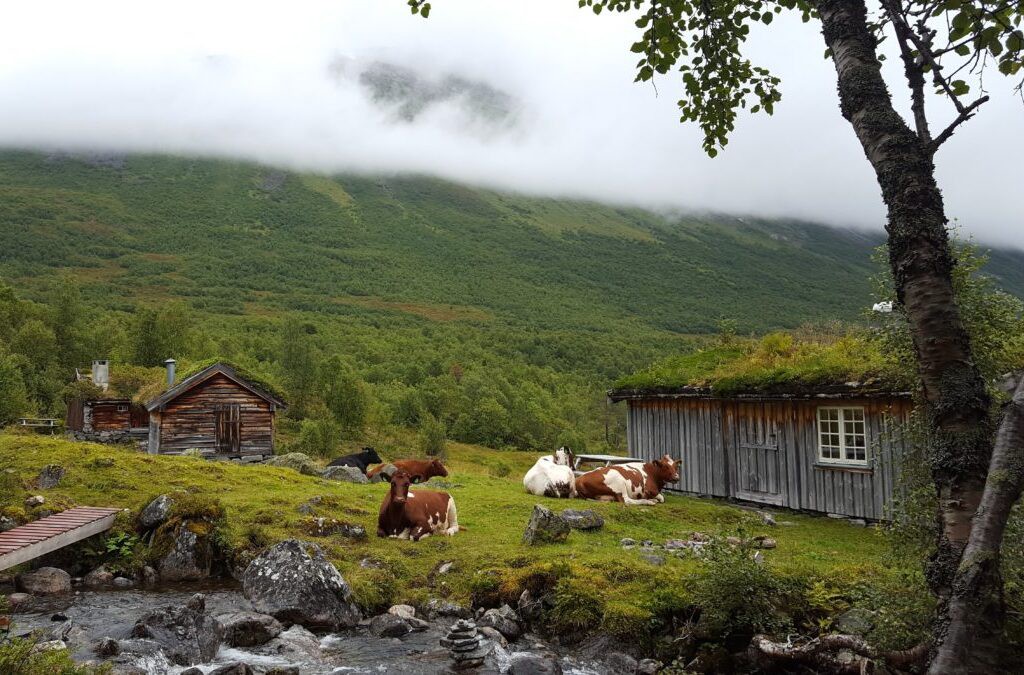 Granja de Bøstølen