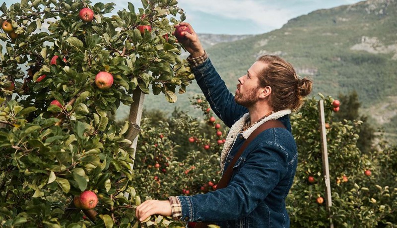 Las manzanas y mostos más selectos