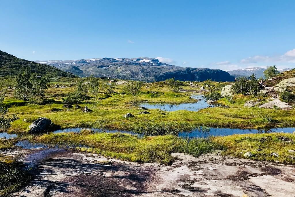 Paisaje de tundra