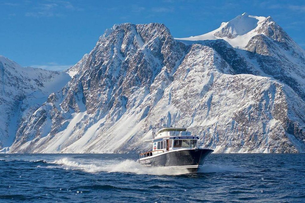 Fiordos Noruegos - PREMIUM: A la caza de la aurora boreal
