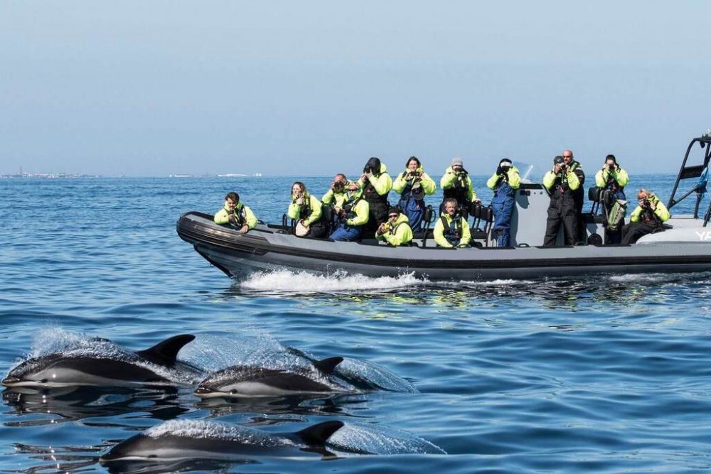 Fiordos Noruegos - Norte mágico: Auroras boreales, paisajes árticos y ballenas